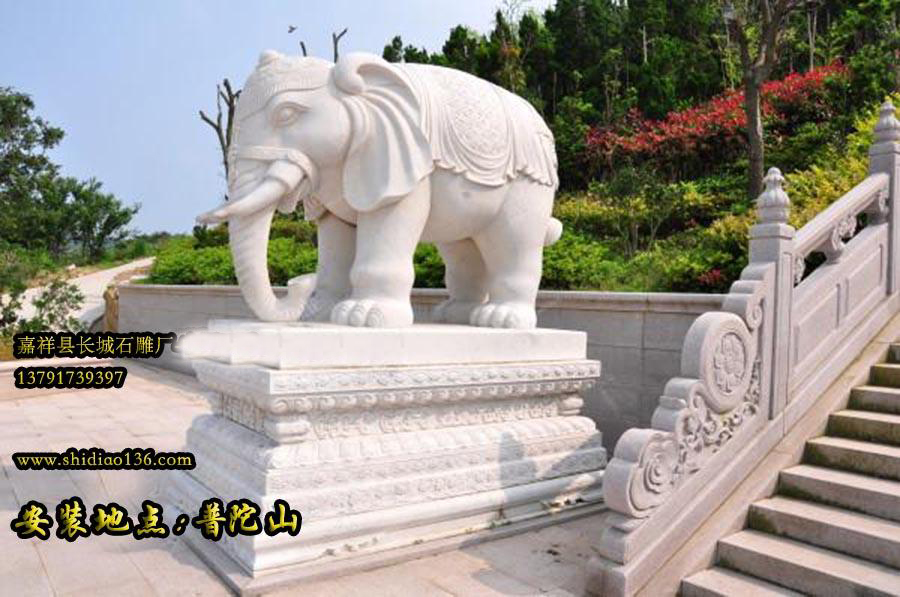 這是普陀山寺院里擺放的漢白玉石雕大象，大象采用一級漢白玉雕刻而成。
